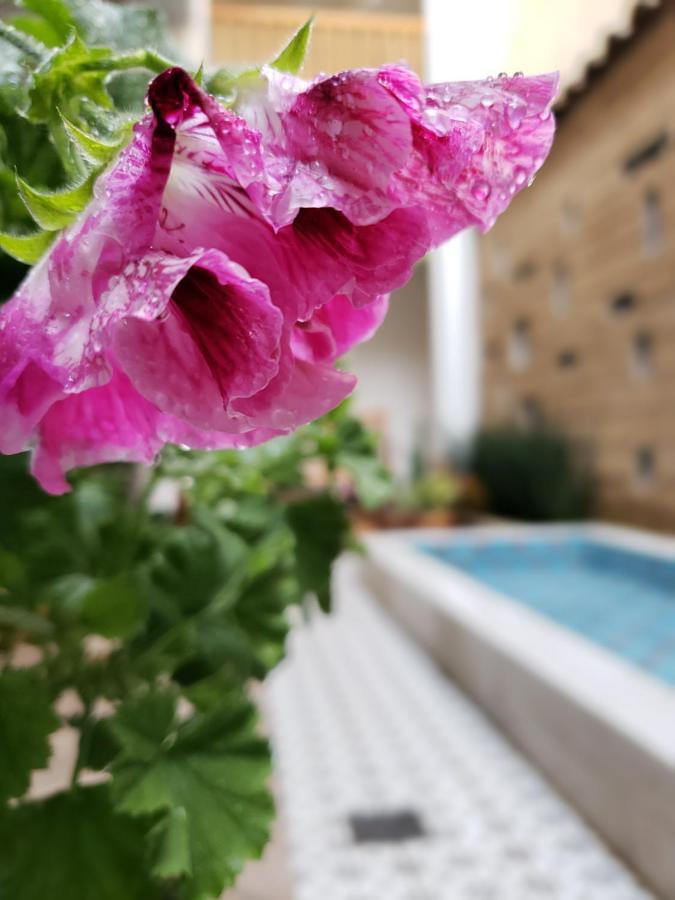 מלון San Cristóbal de Las Casas Casa Carmen מראה חיצוני תמונה